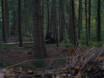 Vagevuurbos en Lippensgoed-Bulskampveld (België)